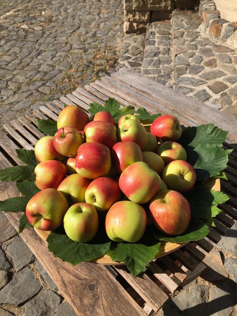 Slow Food Inka Baumann