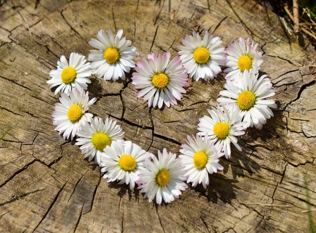 Von Herzen alles Gute. Foto: Pixabay Von Herzen alles Gute. Foto: Pixabay
