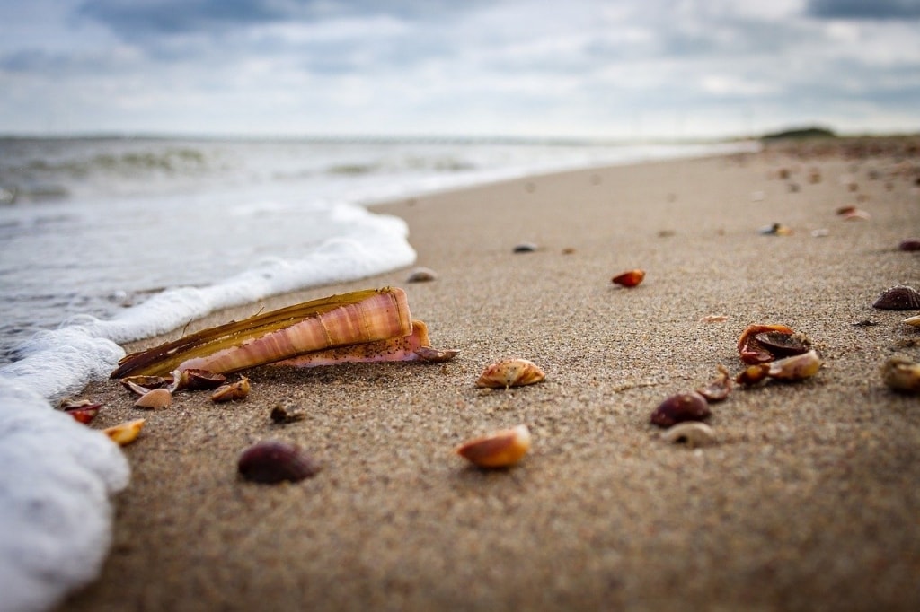 Wellen. Foto Pixabay Wellen. Foto Pixabay