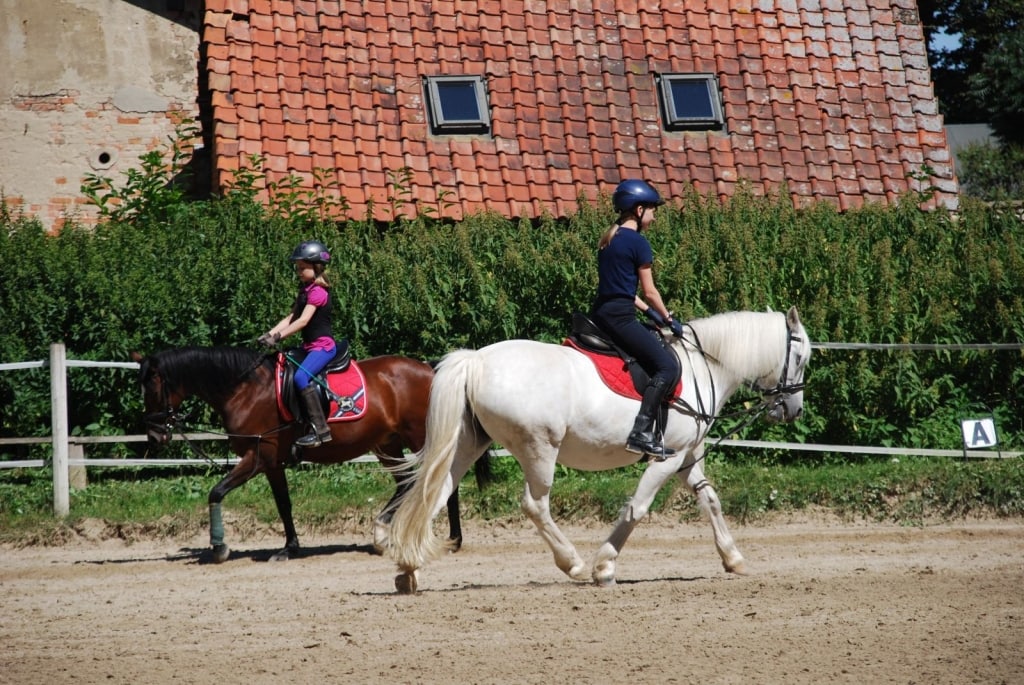 Rittergut Lucklum: Quadrille-Workshop Rittergut Lucklum: Quadrille-Workshop