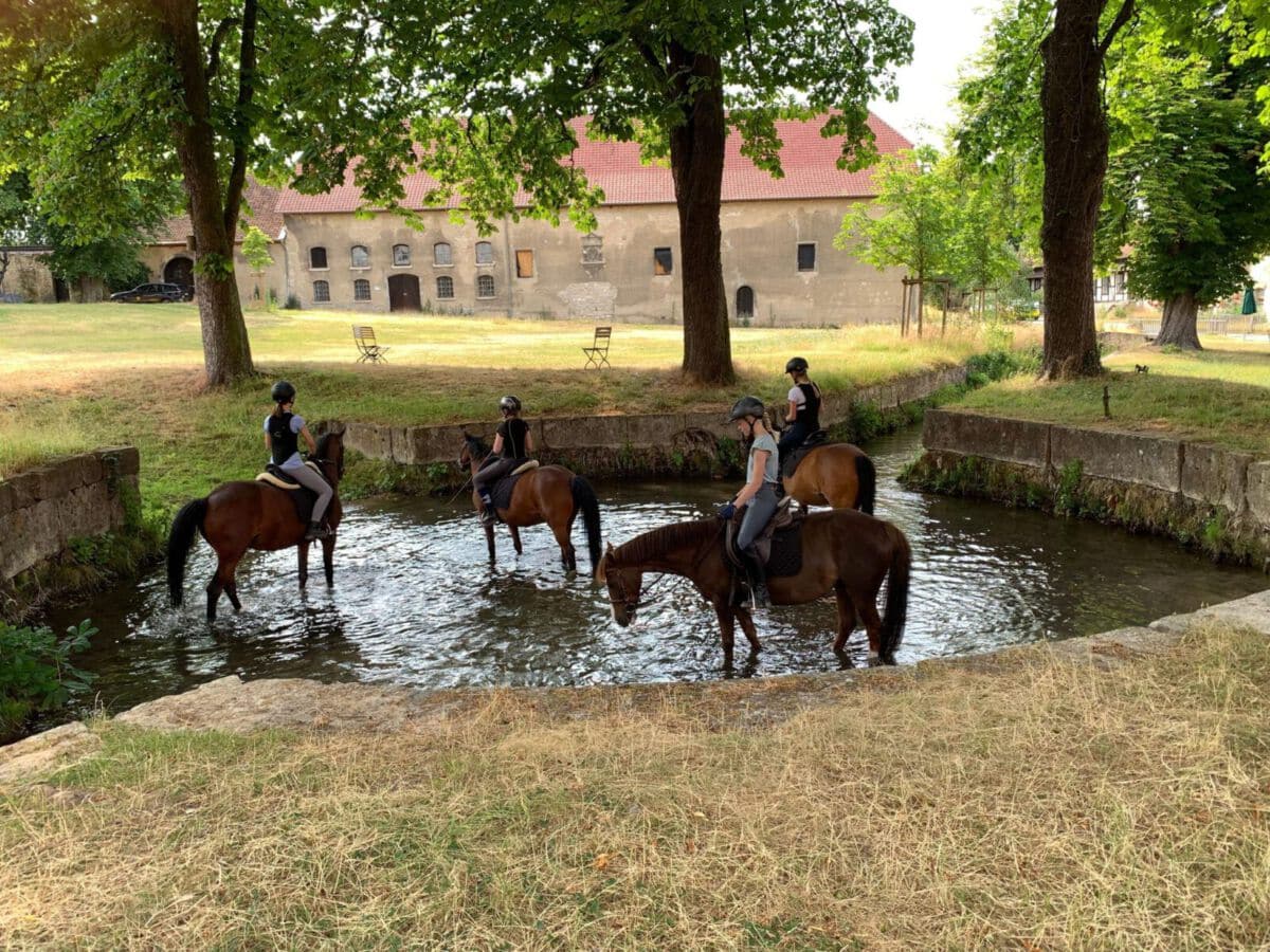 Reiterflohmarkt auf dem Rittergut Rittergut Lucklum