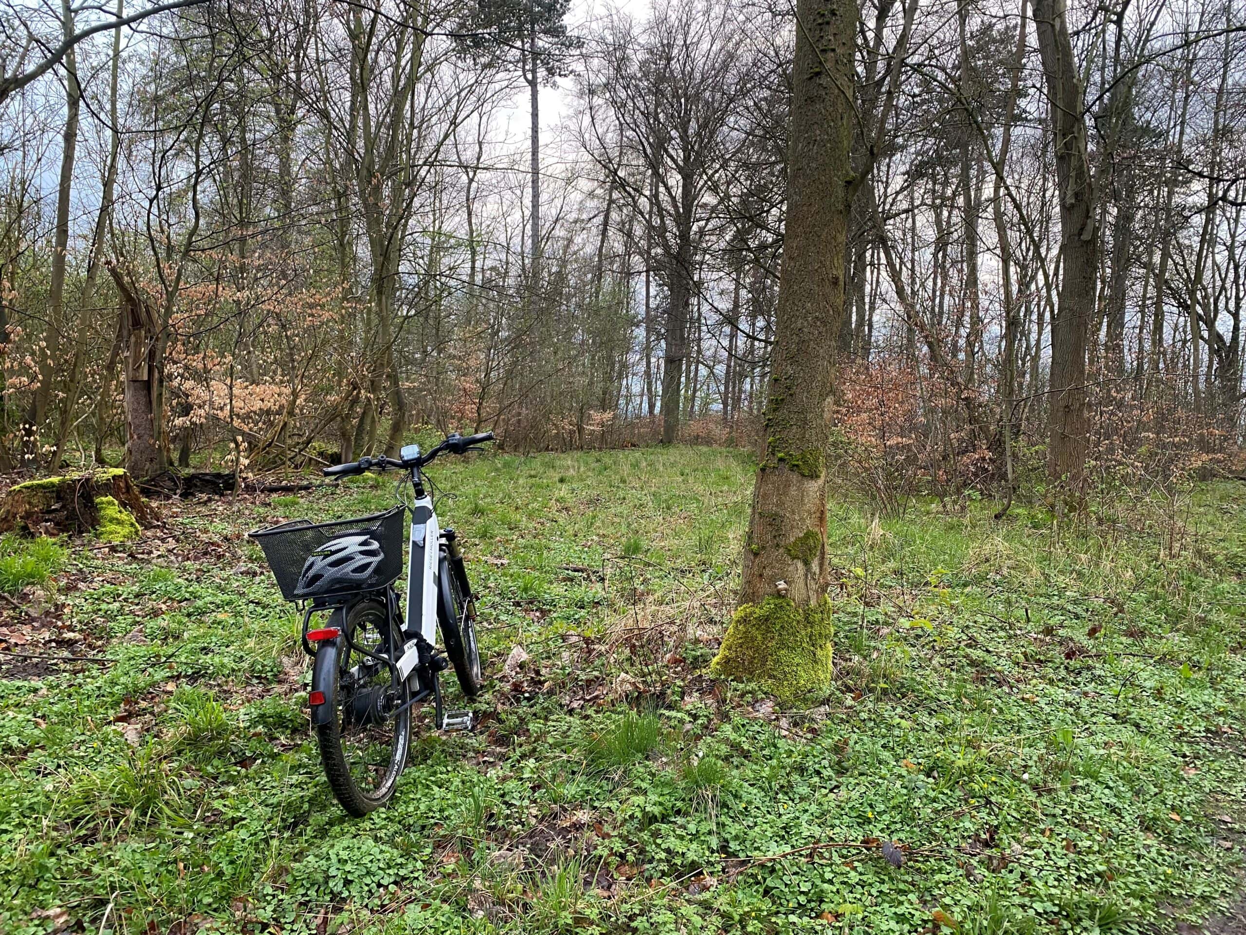 Waldtour. Frühjahrs-Radtour in die Stille der Nacht