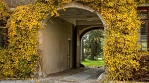 Innenhof Rittergut Lucklum
