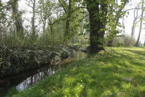 Rittergut Lucklum Park