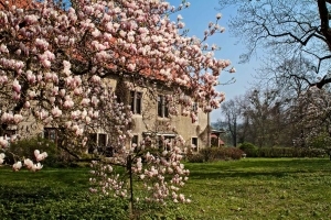 Rittergut Lucklum Kirche